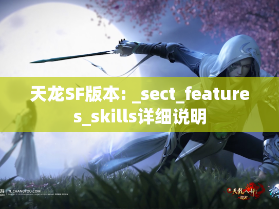 天龙SF版本: _sect_features_skills详细说明  第1张